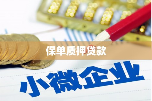果洛保单质押贷款