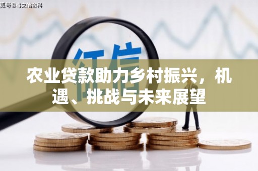 果洛农业贷款助力乡村振兴，机遇、挑战与未来展望