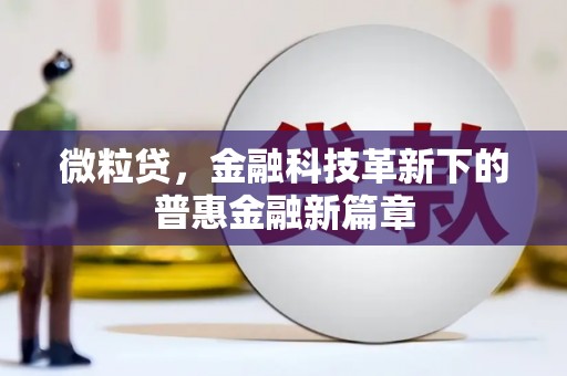 果洛微粒贷，金融科技革新下的普惠金融新篇章