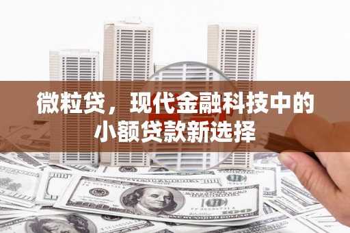 果洛微粒贷，现代金融科技中的小额贷款新选择