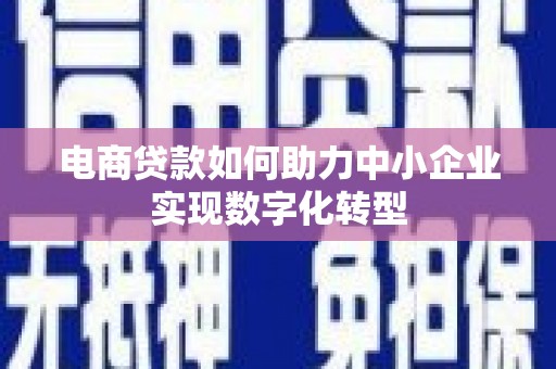 果洛电商贷款如何助力中小企业实现数字化转型