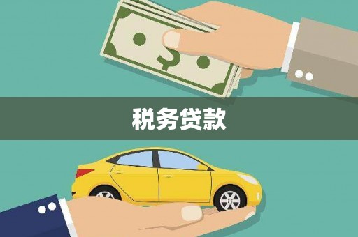 果洛税务贷款