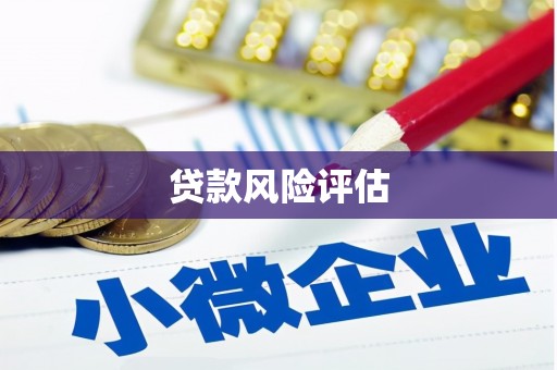 果洛贷款风险评估