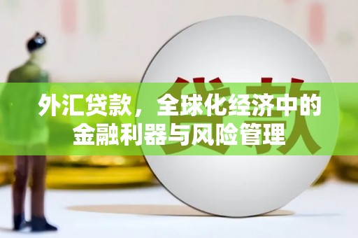 果洛外汇贷款，全球化经济中的金融利器与风险管理