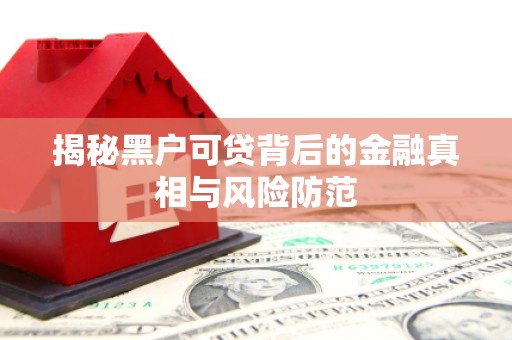 果洛揭秘黑户可贷背后的金融真相与风险防范