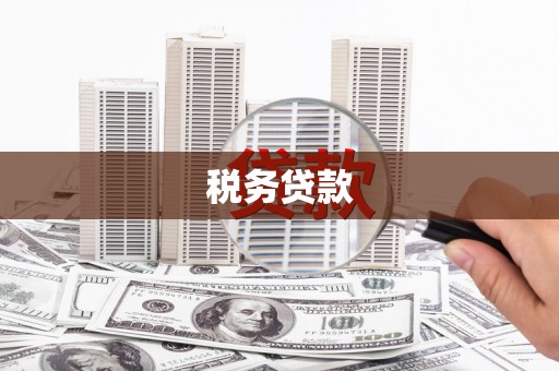 果洛税务贷款