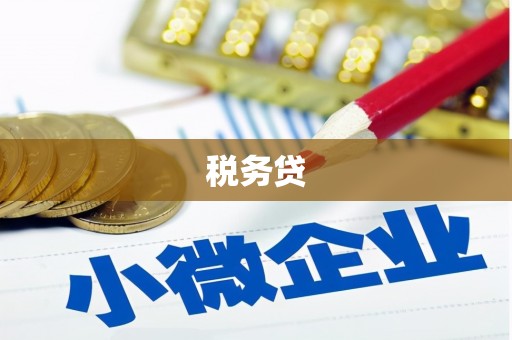 果洛税务贷