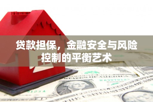 果洛贷款担保，金融安全与风险控制的平衡艺术