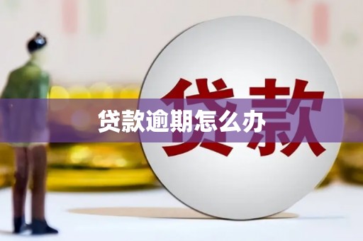 果洛贷款逾期怎么办