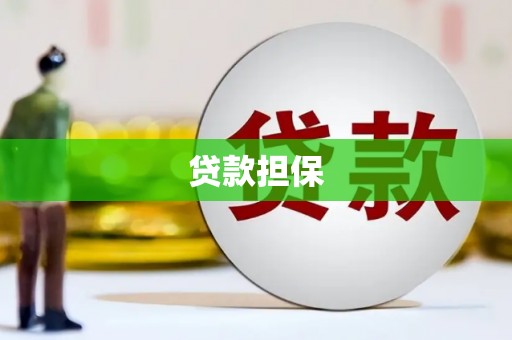 果洛贷款担保