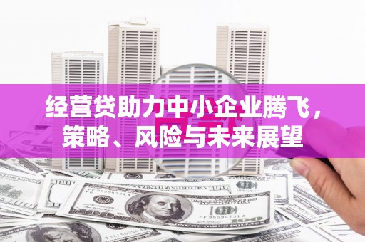 果洛经营贷助力中小企业腾飞，策略、风险与未来展望