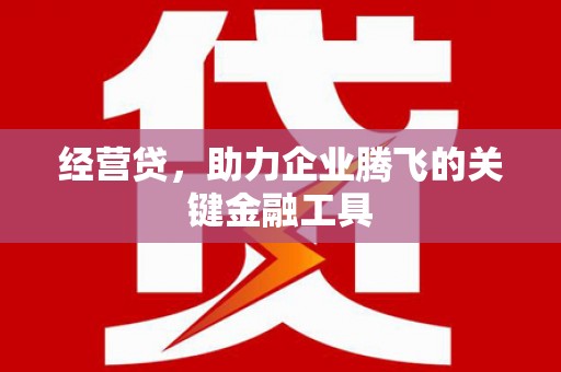 果洛经营贷，助力企业腾飞的关键金融工具