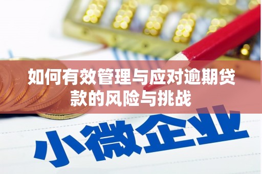果洛如何有效管理与应对逾期贷款的风险与挑战