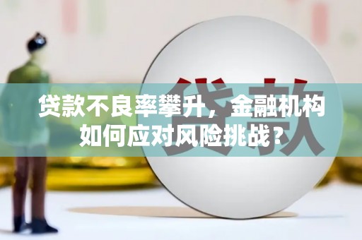 果洛贷款不良率攀升，金融机构如何应对风险挑战？