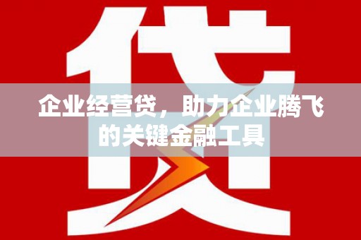 果洛企业经营贷，助力企业腾飞的关键金融工具