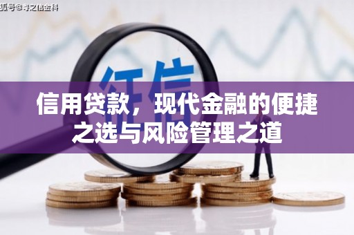 果洛信用贷款，现代金融的便捷之选与风险管理之道
