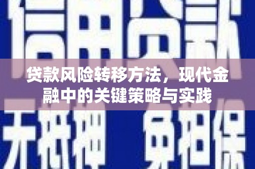 果洛贷款风险转移方法，现代金融中的关键策略与实践