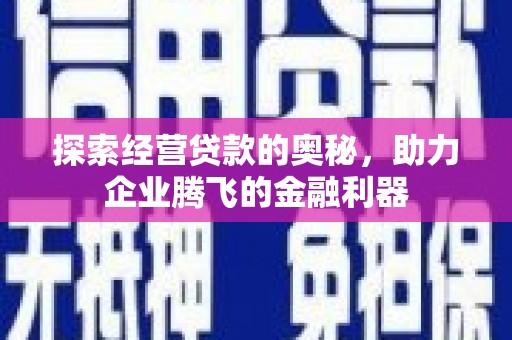 果洛探索经营贷款的奥秘，助力企业腾飞的金融利器