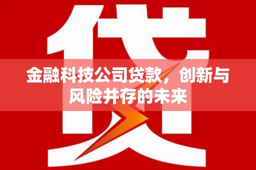 果洛金融科技公司贷款，创新与风险并存的未来