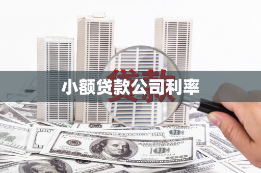 果洛小额贷款公司利率
