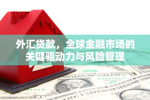 果洛外汇贷款，全球金融市场的关键驱动力与风险管理