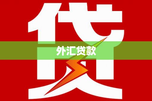 果洛外汇贷款