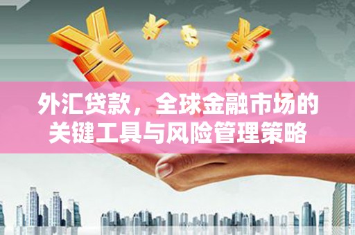果洛外汇贷款，全球金融市场的关键工具与风险管理策略
