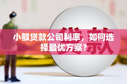 果洛小额贷款公司利率，如何选择最优方案？