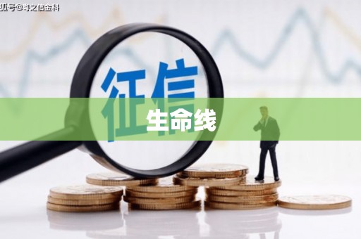 果洛生命线