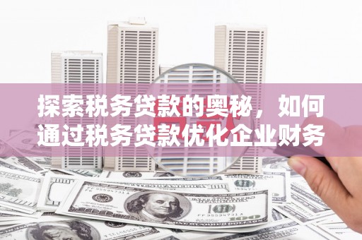 果洛探索税务贷款的奥秘，如何通过税务贷款优化企业财务