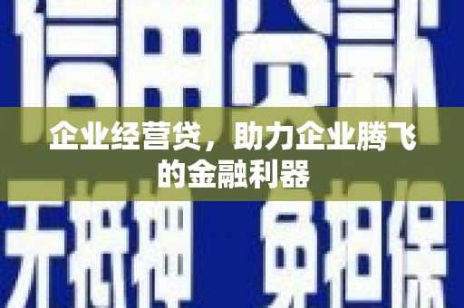 果洛企业经营贷，助力企业腾飞的金融利器