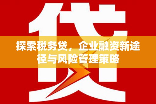 果洛探索税务贷，企业融资新途径与风险管理策略