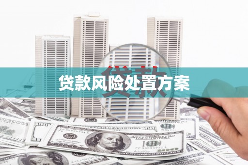 果洛贷款风险处置方案