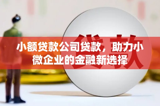 果洛小额贷款公司贷款，助力小微企业的金融新选择
