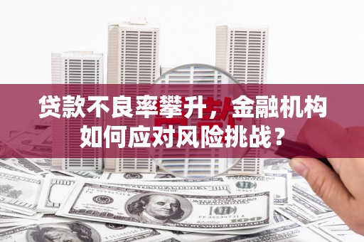 果洛贷款不良率攀升，金融机构如何应对风险挑战？