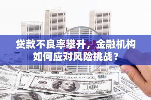 果洛贷款不良率攀升，金融机构如何应对风险挑战？