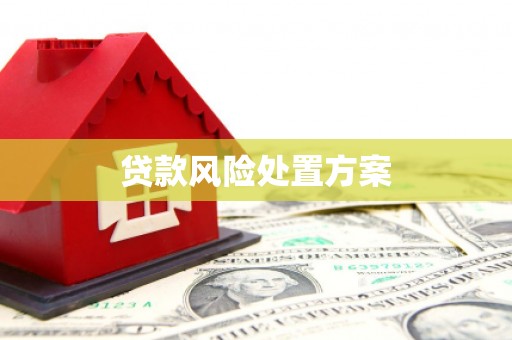 果洛贷款风险处置方案