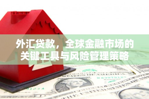 果洛外汇贷款，全球金融市场的关键工具与风险管理策略