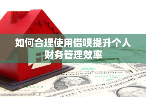 果洛如何合理使用借呗提升个人财务管理效率