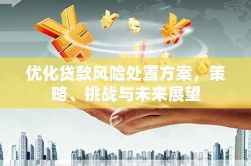 果洛优化贷款风险处置方案，策略、挑战与未来展望