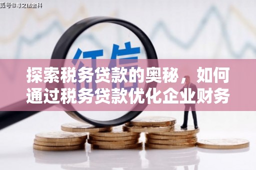 果洛探索税务贷款的奥秘，如何通过税务贷款优化企业财务