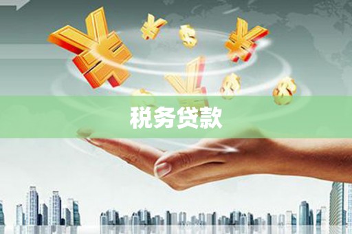 果洛税务贷款