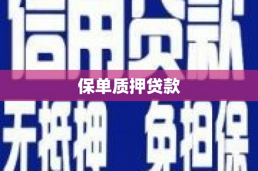 果洛保单质押贷款