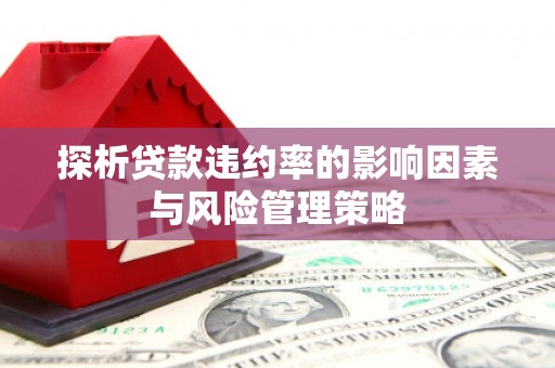 果洛探析贷款违约率的影响因素与风险管理策略