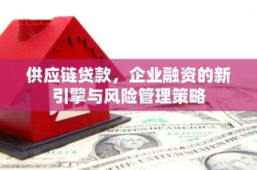 果洛供应链贷款，企业融资的新引擎与风险管理策略