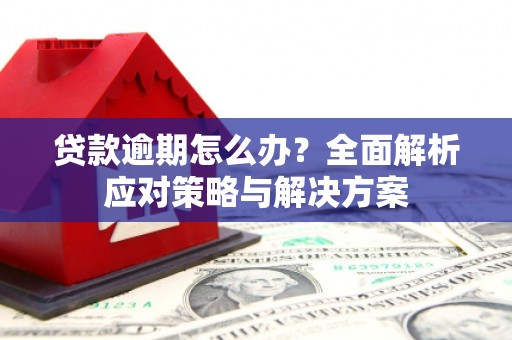 果洛贷款逾期怎么办？全面解析应对策略与解决方案