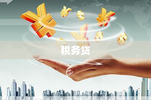 果洛税务贷