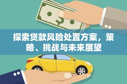 果洛探索贷款风险处置方案，策略、挑战与未来展望