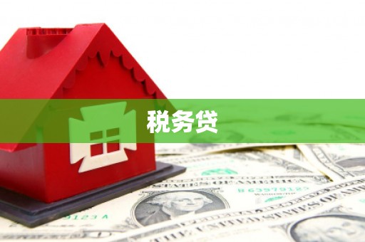果洛税务贷