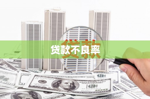 果洛贷款不良率